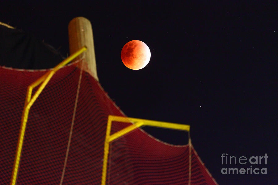Blood Moon Lunar Eclipse Photograph by James Brunker