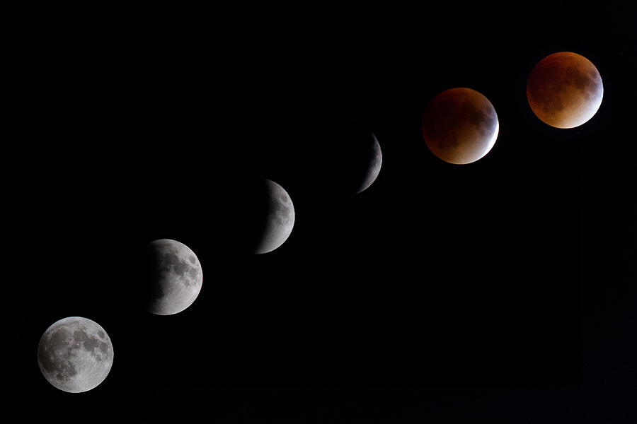 Blood Moon Lunar Eclipse Photograph by Robert Clifford