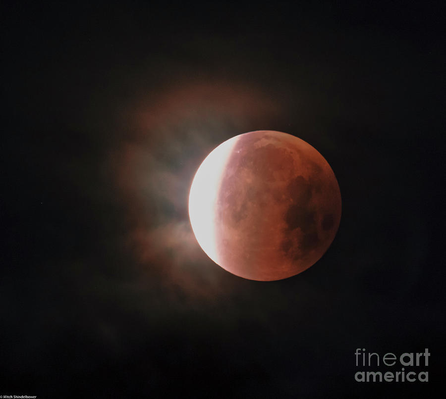 Blood Moon   Photograph by Mitch Shindelbower
