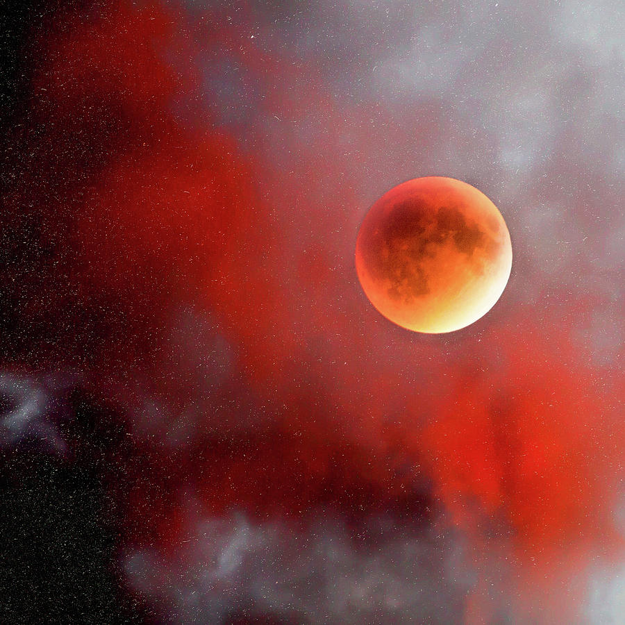 Blood Moon Photograph by Natalie Rotman Cote