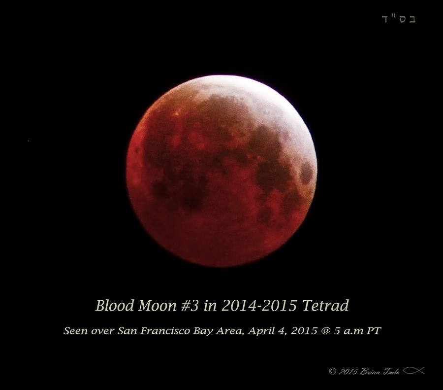 Nature Photograph - Blood Moon # 3 in Tetrad by Brian Tada
