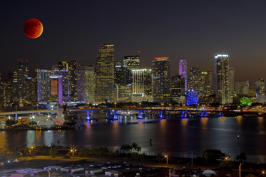 Miami Photograph - Blood Moon Over Miami by Rick Bravo