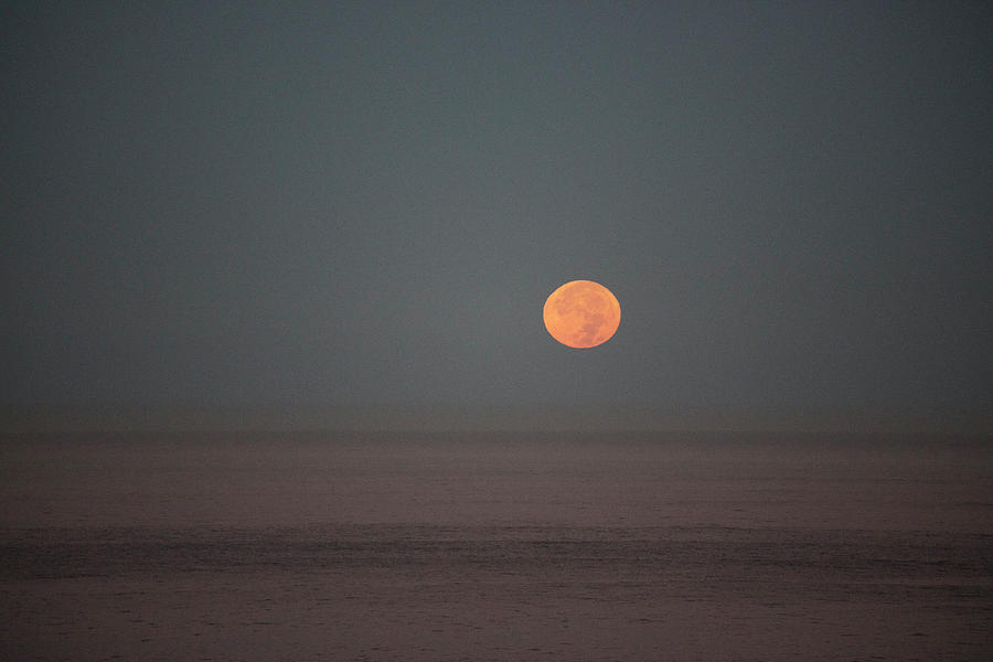 Blood Moon Over the Pacific Photograph by Hugh Smith