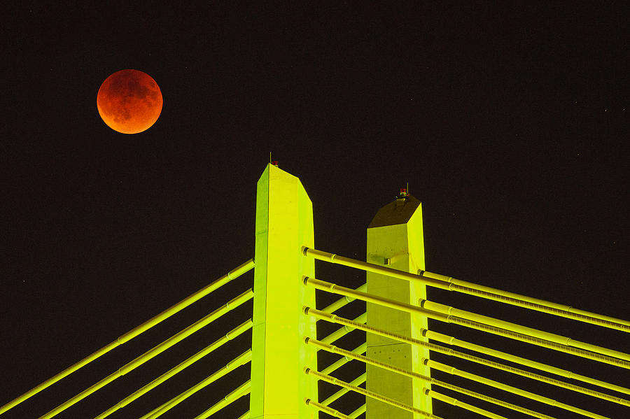 Blood Moon Over the Tillikum Crossing Photograph by Patrick Campbell