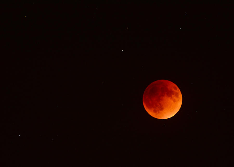 Blood Moon Eclipse Photograph - Blood Moon Over Tinton Falls, NJ by Raymond Salani III
