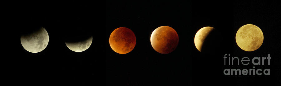 Blood Moon Phases Photograph by Rudi Prott