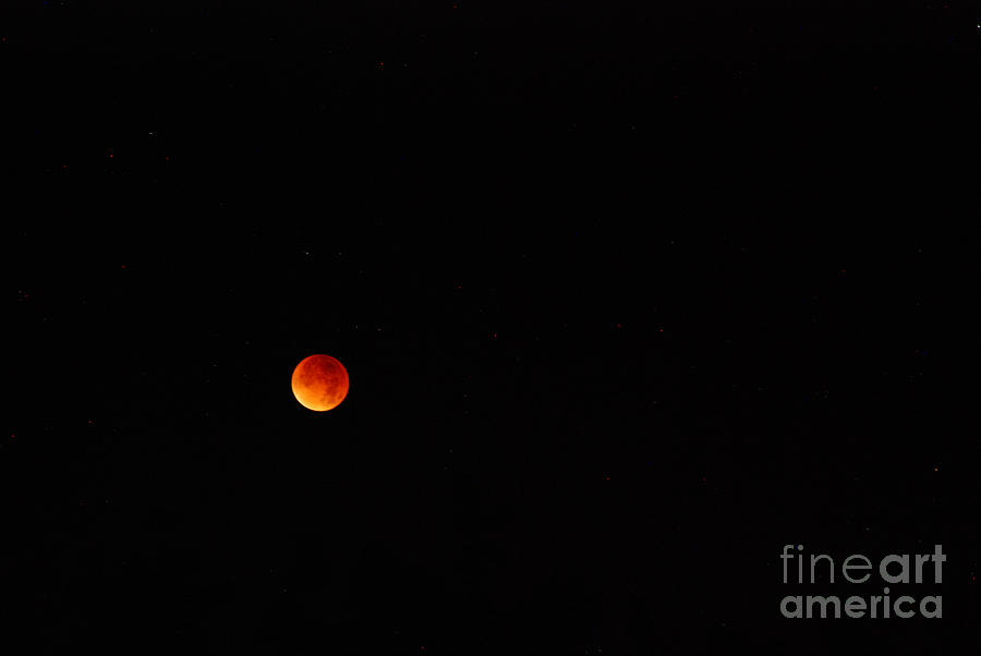 Blood Moon Photograph by Richard Gibb