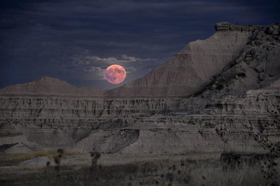 Blood Moon Rising Photograph by Jeannee Gannuch