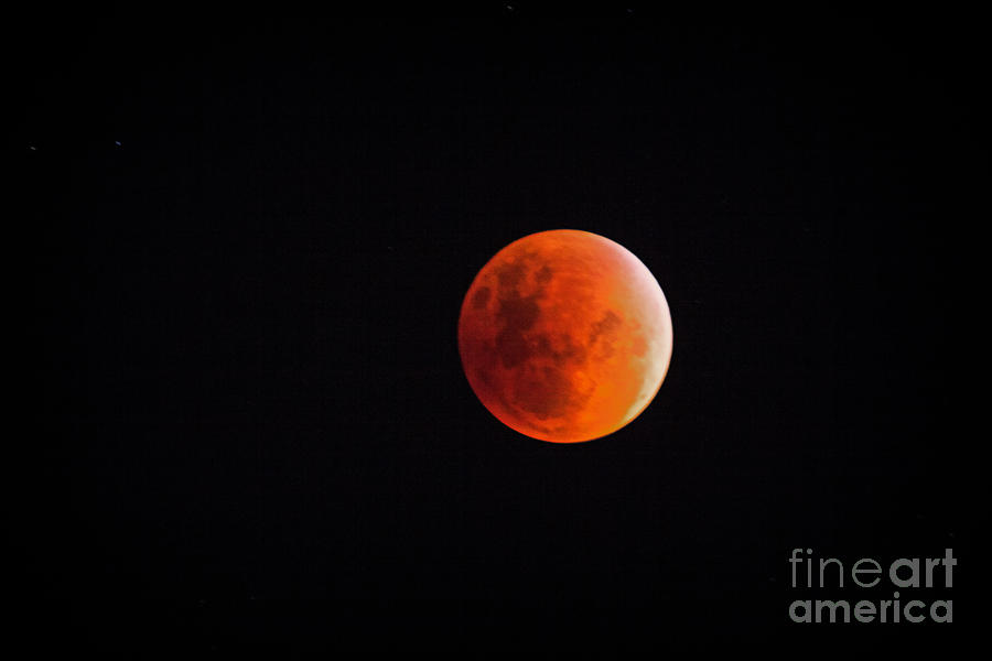 Blood Moon September 27 2015 Photograph by Bob Hislop