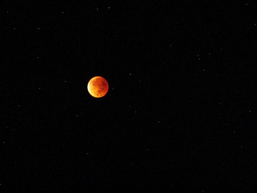 Blood Moon September 27th Photograph by Joy Nichols