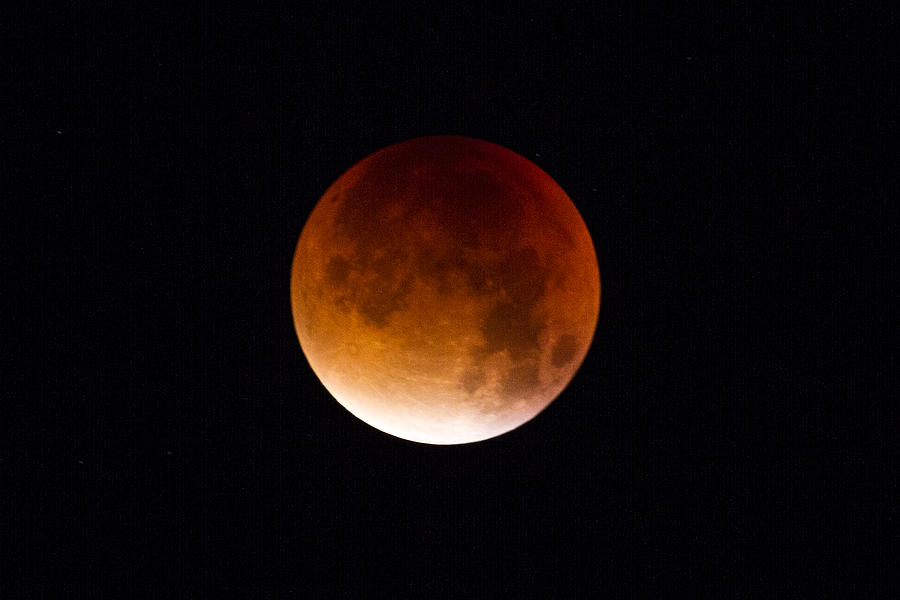 Nature Photograph - Blood Moon Super Moon 2015 by Clare Bambers