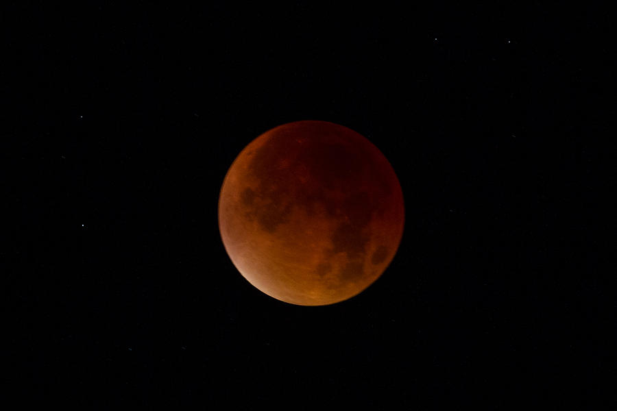 Blood Moon Super Moon 2015 Totality Photograph by Clare Bambers