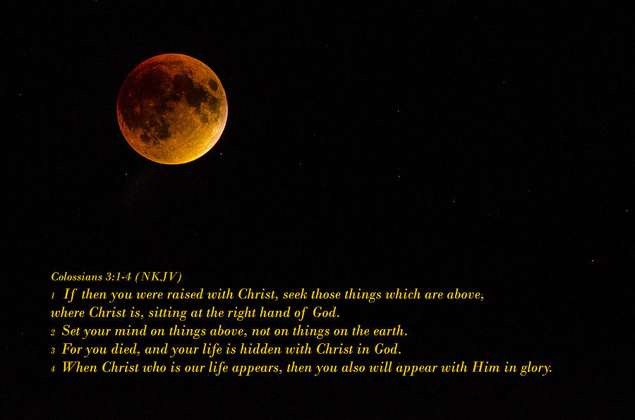 Blood Moon Photograph by Tom Clark - Fine Art America