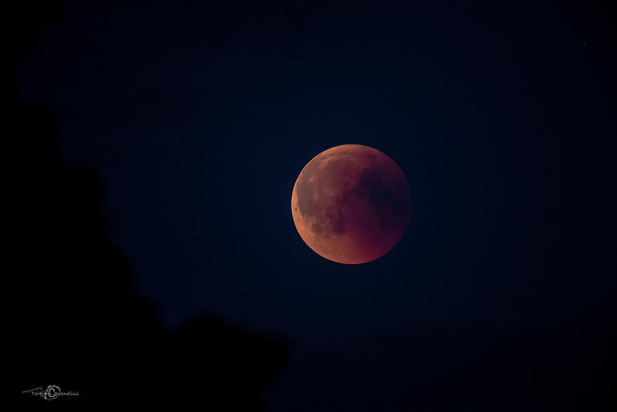 Blood Moon Photograph by Torbjorn Swenelius