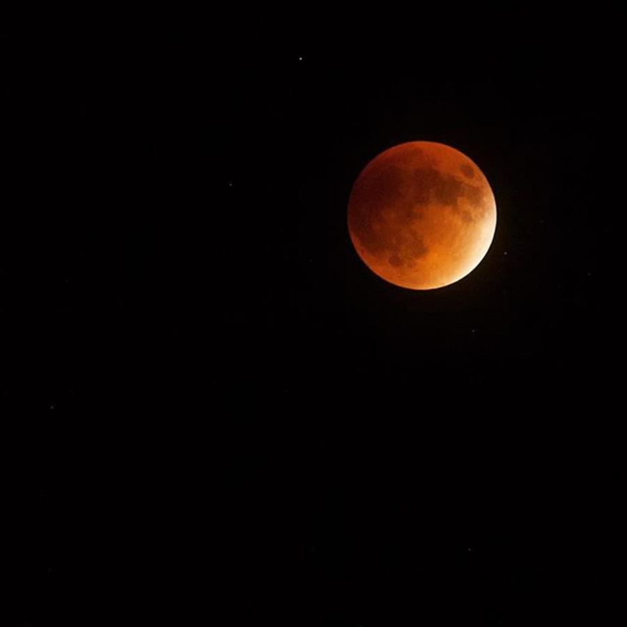 Miami Photograph - Blood Moon, Total Lunar Eclipse by Juan Silva