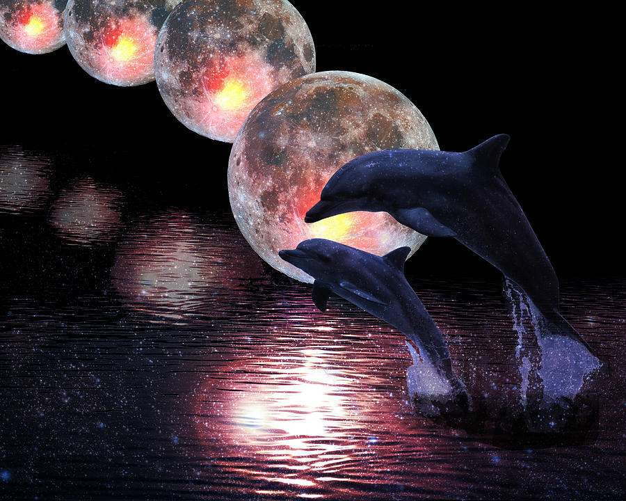 Dolphin Digital Art - Dolphins in the moonlight by Sandra Selle Rodriguez