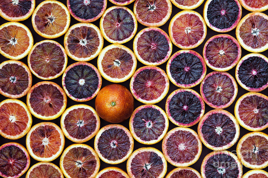 Blood Oranges Photograph by Tim Gainey
