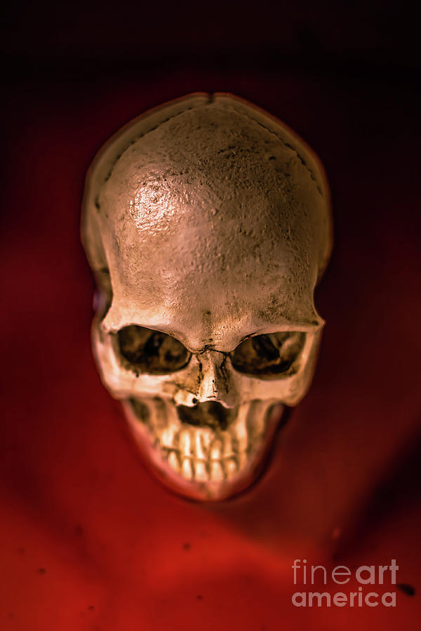 Blood Pool Skull Photograph by Edward Fielding