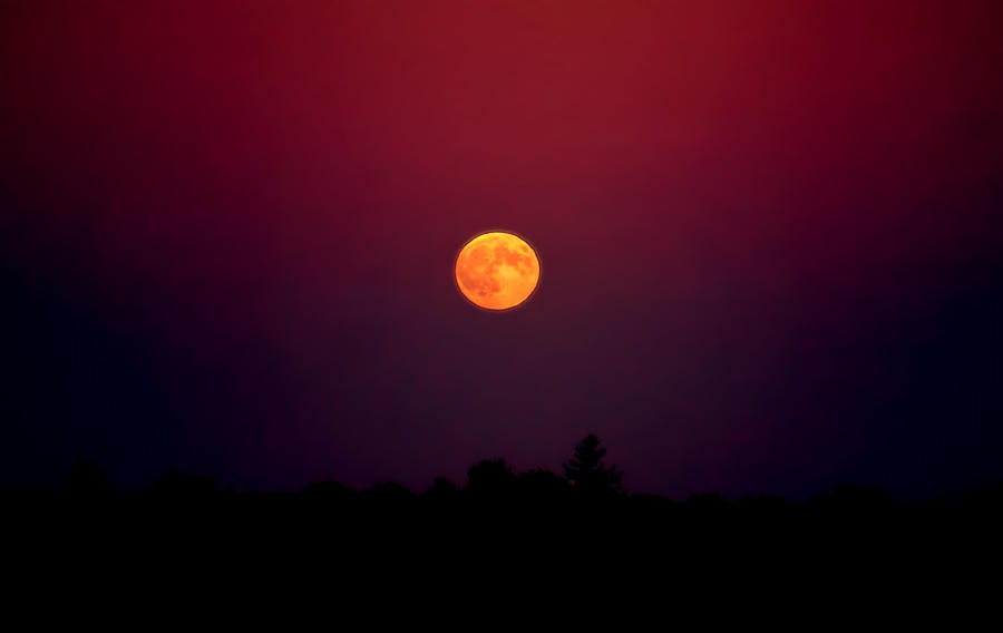 Blood Red Moon on Sep 27 2015 Photograph by Lilia S