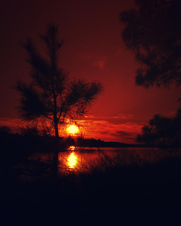 Blood Red Sunset Photograph by Pete Federico - Fine Art America