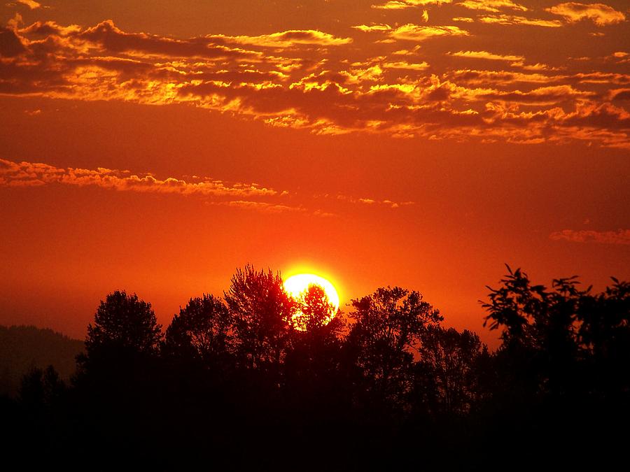 Blood Red Sunset Photograph by Terry Jones - Pixels