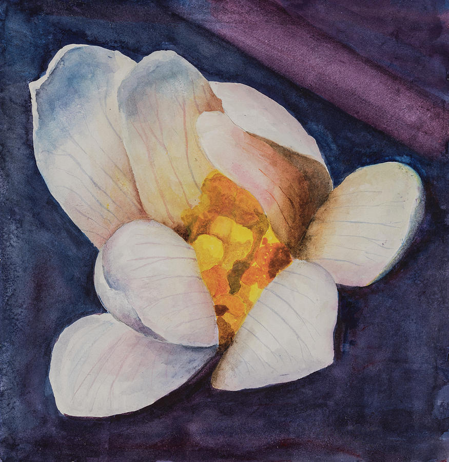 Blood Root Blossom Painting by Nadine Button