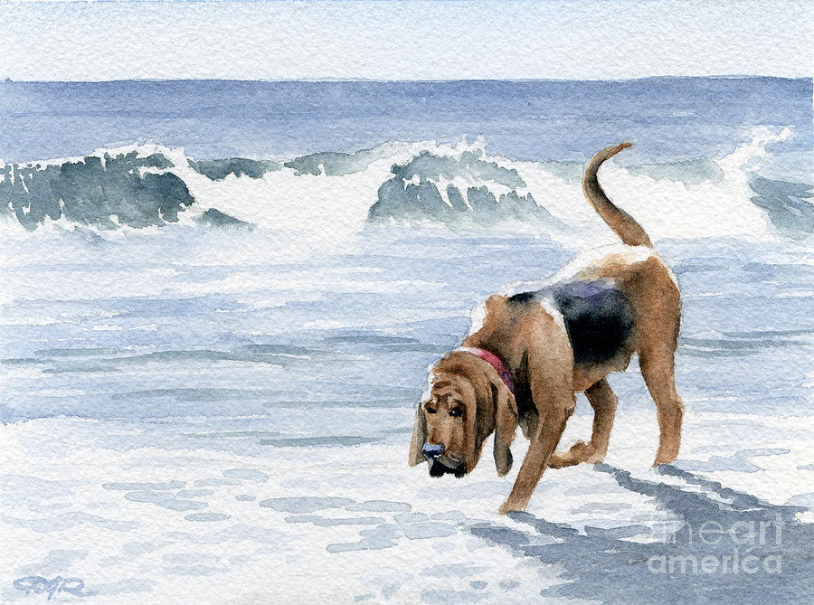 Bloodhound at the Beach Painting by David Rogers