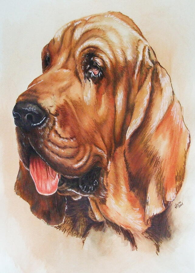 puppy Original pen & ink wash drawing dog owner present black and white watercolor Bloodhound gift Scent hound watercolour painting