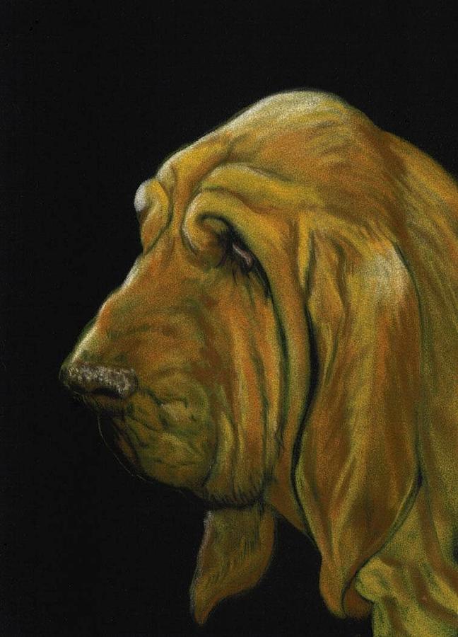 Bloodhound Painting by Charlotte Yealey