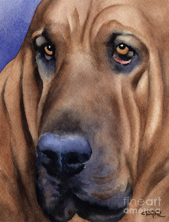 Bloodhound painting sales