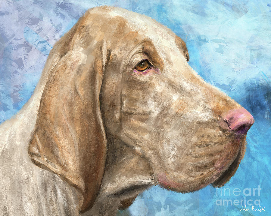 Bloodhound Painting on Light Blue Background Digital Art by Idan ...