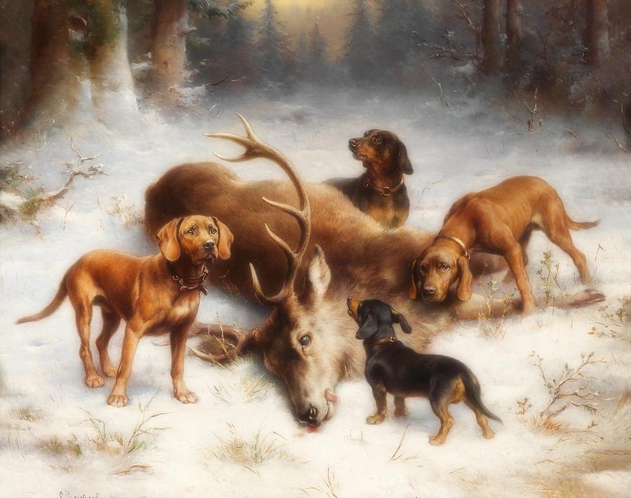 bloodhound hunting deer