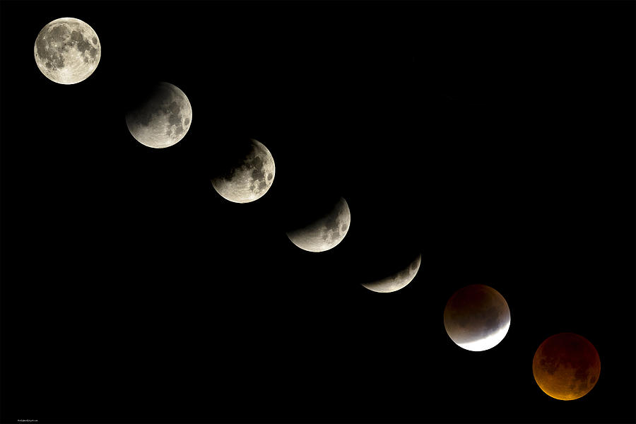 Bloodmoon Lunar Eclipse with  phases composite Photograph by Andy Myatt