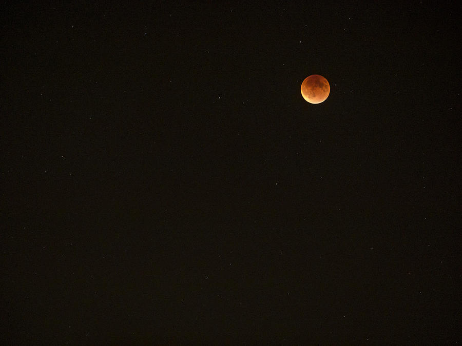 Bloodmoon - Sept 27 - Madison - Wisconsin Photograph by Steven Ralser