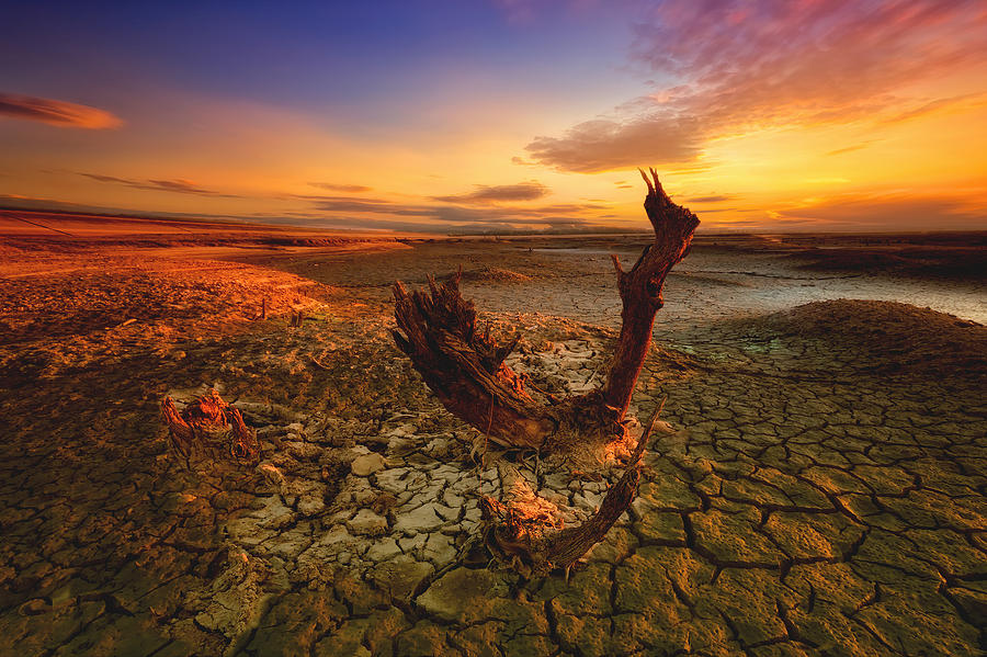 Landscape Photograph - Bloody Sunset by Piotr Krol (bax)