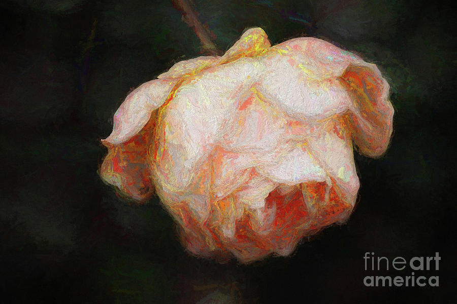 Flower Digital Art - Bloom by Helen White Flower Digital Art - Bloom by Helen White