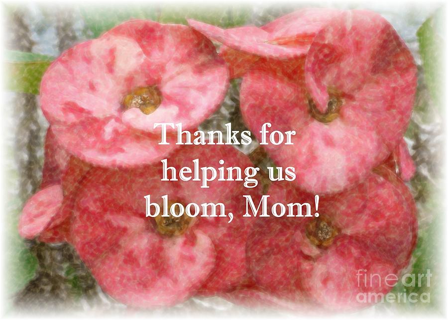 Bloom Mothers Day card Photograph by Barbie Corbett-Newmin