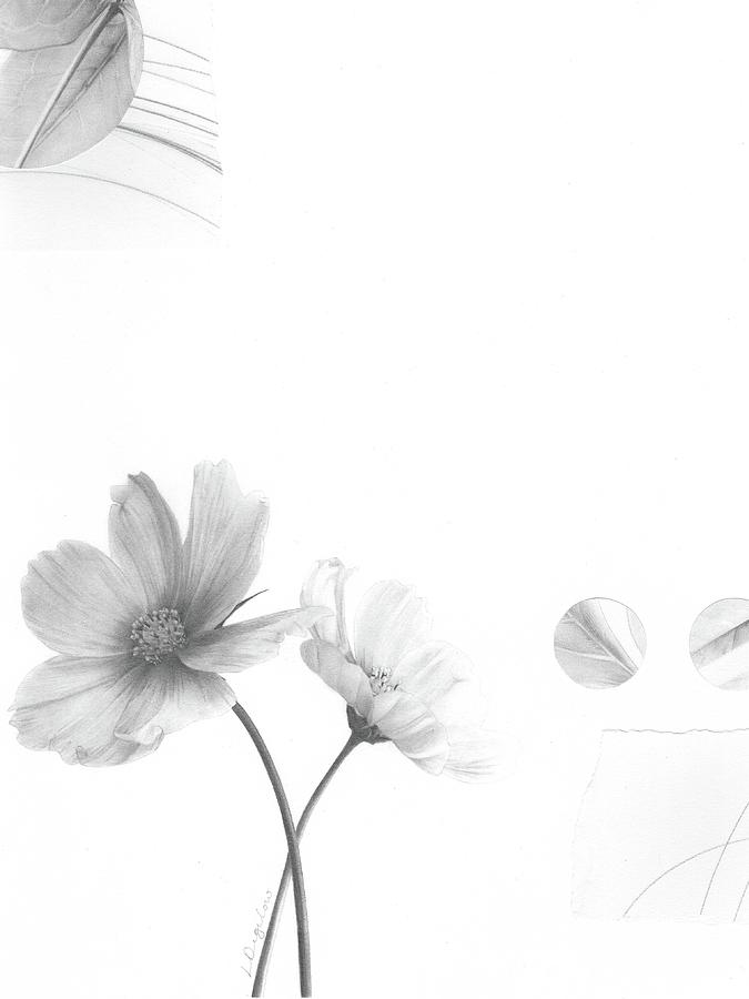 Bloom No. 2 by Lauren Bigelow Bloom No. 2 by Lauren Bigelow