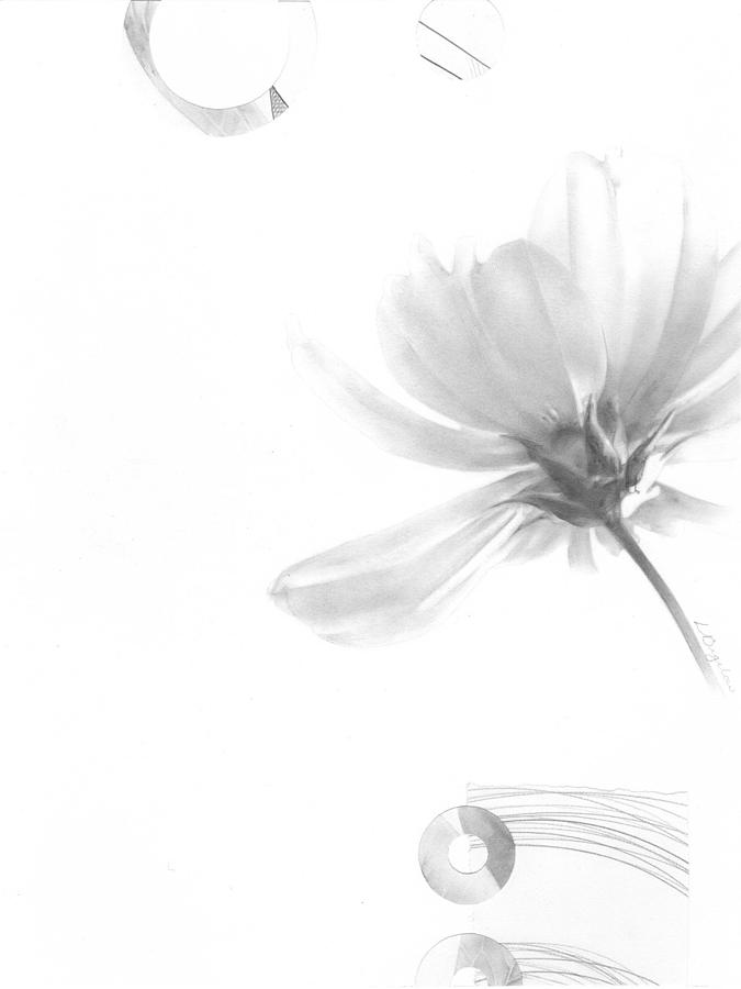 Bloom No. 5 by Lauren Bigelow Bloom No. 5 by Lauren Bigelow