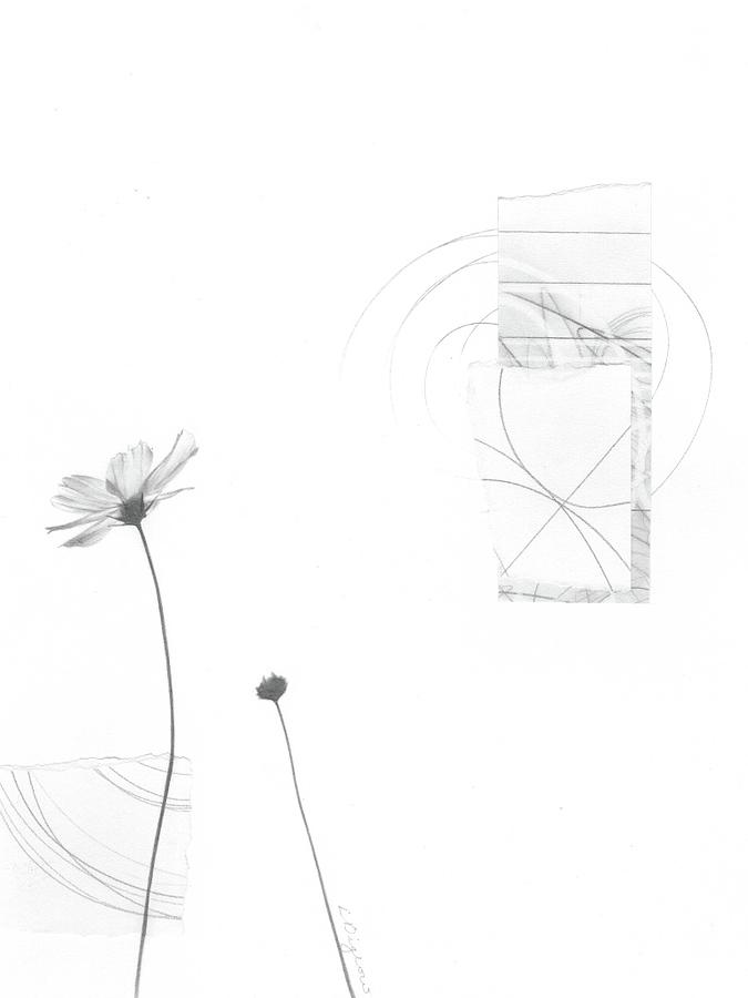 Bloom No. 9 by Lauren Bigelow Bloom No. 9 by Lauren Bigelow