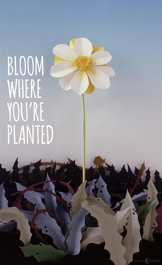 BLOOM where planted poster Sculpture by Tim Nyberg
