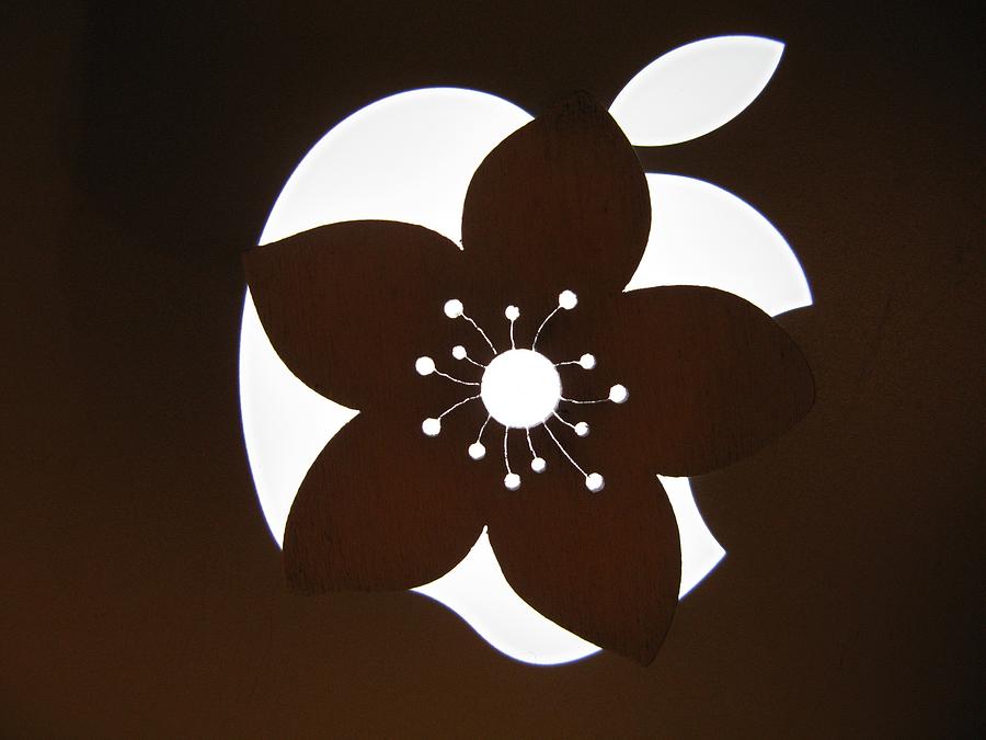 Still Life Photograph - Blooming Apple Mac by Ausra Huntington nee Paulauskaite