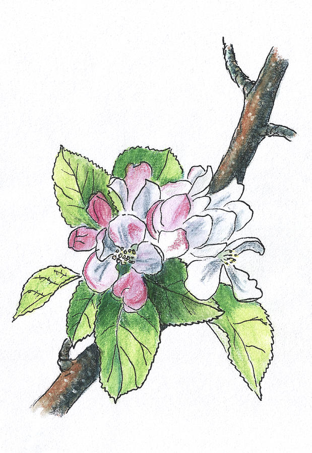 Blooming Apple Tree Painting by Masha Batkova