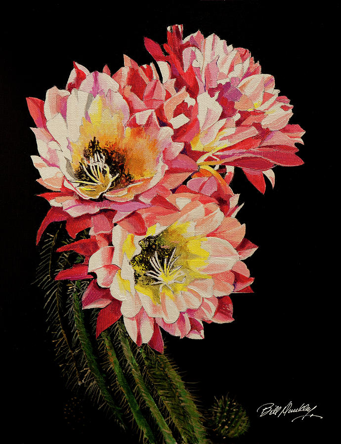 Blooming Cactus Painting by Bill Dunkley