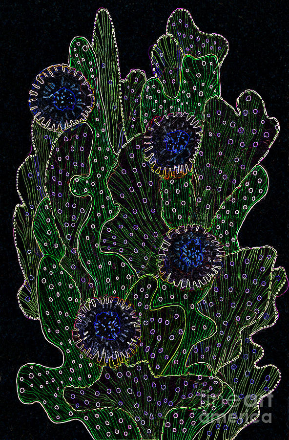 Blooming Cactus Black and Neon Mixed Media by Julia Khoroshikh
