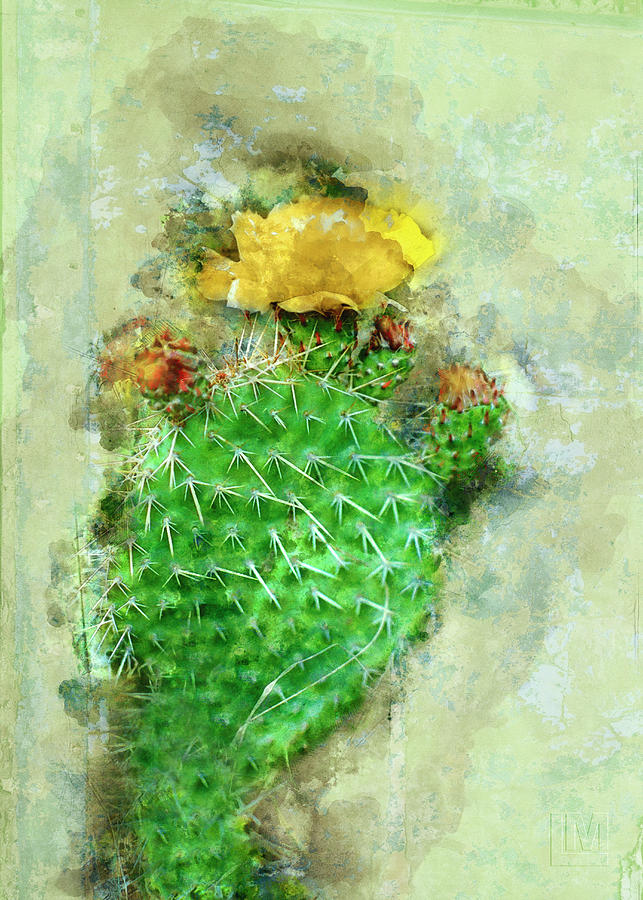 Flowers Still Life Digital Art - Blooming Cactus by Len Moser