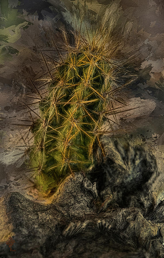 Blooming Cactus Digital Art by Syed Muhammad Munir ul Haq