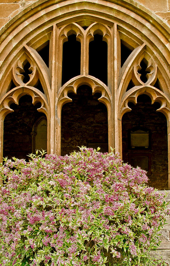 Blooming Cloister. Photograph by Elena Perelman