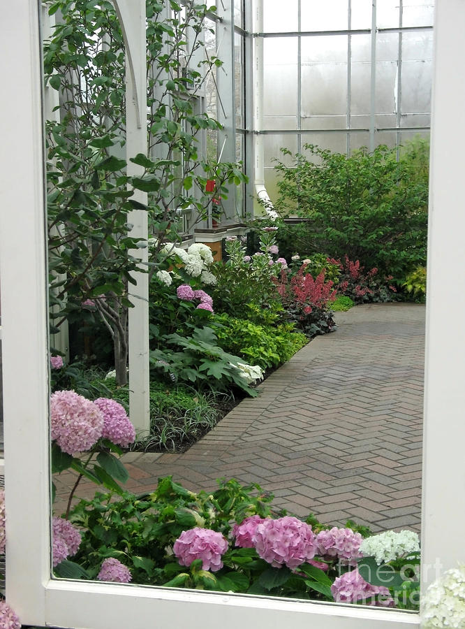 Blooming Conservatory Photograph