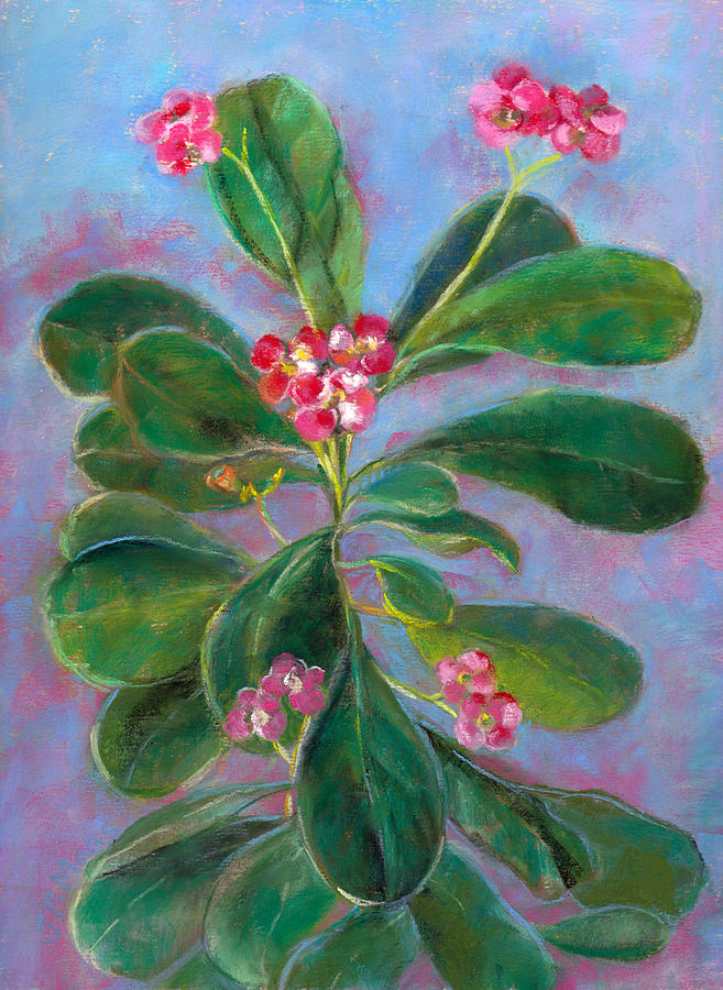 Blooming Crown Pastel by Julie Maas
